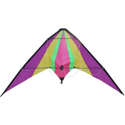 China Hot Selling High Quality High Quality Polyester New Custom Sport Stunt Model Kite for sale