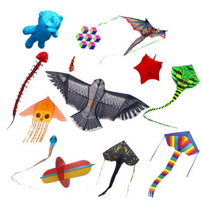 China Hot Selling Shape Power Inflatable Soft Kite Customized Weifang Polyester Mini Kite Flat Shape Mini Kite For Outdoor for sale