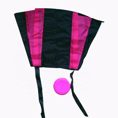 China 2020 Wholesale Customized Cheap Outdoor Kid Kite Toys New Custom Printed Flying Chinese Mini Pocket Kite For Kids for sale