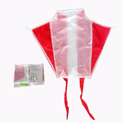 China 2020 custom printed kite china factory line friendly custom double printed weifang new cometa 3d power pocket model kite for sale