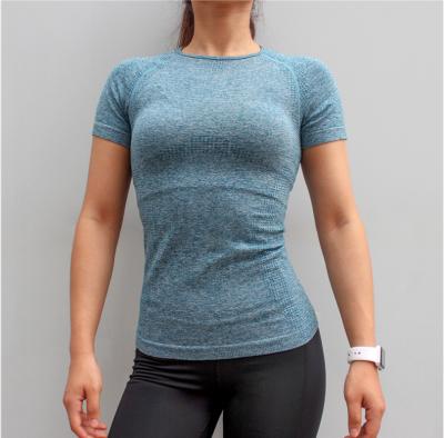 China Antibacterial Women's Compression Gym Shirt Short Sleeve Running Sporty T-shirt Workout Tops for sale