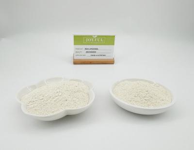 China Pirofosfato de Ferro Ferrico Lipossomal Micronizado em Pó Branco Alimentar à venda