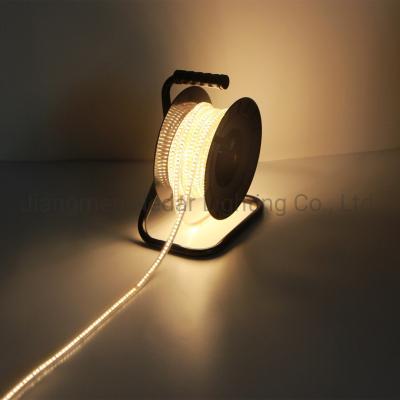 China ETL 2835-120p LED Strip Light Recyclable LED Rope Light Tira LED Engineering Racing Light 6.3X11.8mmX(1-50M) for sale