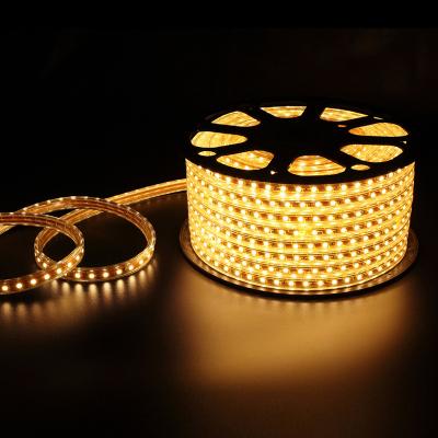 China Flexible Rope Cinta LED, Fita LED, Tira LED LANDSCAPE 230V LED Strip Light 110V SMD5050 Ra80 LED Light for sale