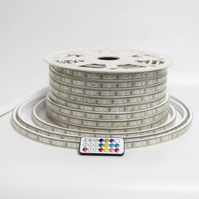 China Flexible Garden RGB Strip LED 60LED SMD 5050 With Remote Control Multi Color for sale