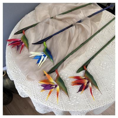 China Beautiful Real Colorful Bird Of Paradise Latex Simulation Flower Bird Touch Artificial Flower For Decoration Wedding Home for sale