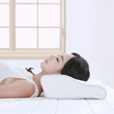 China Anti-Apnea Strongly Prevent Bacteria Anti-Pressure Slow Rebound Protect Cervical Spine Pillow 8H H2 Memory Foam Elastic Pillow for sale