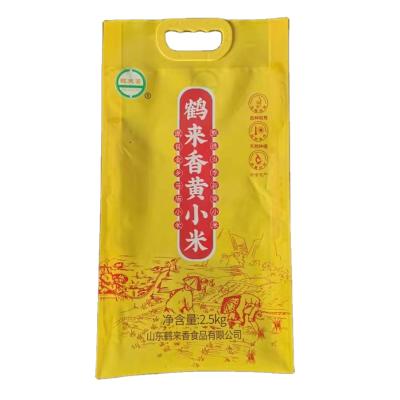 China High Quality Food Grade 1kg/2.5kg/5kg Rice Moisture Proof Plastic Bag With Handle for sale