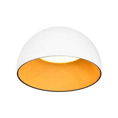 China Outdoor hot sale factory wholesale price led lighting lamp ceiling ceiling light ultra thin modern ceiling led lamp for sale