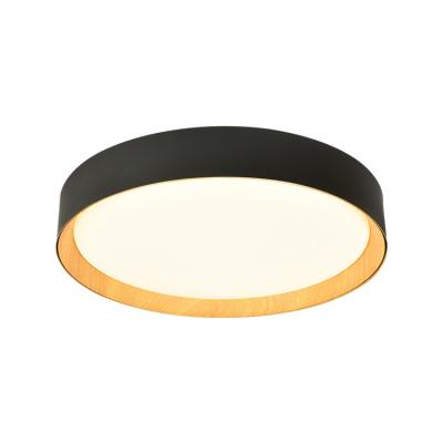 China Outdoor Flat Panel Remote Control Dimmable Black Aluminum Ceiling Led Ceiling Light Lamp for sale