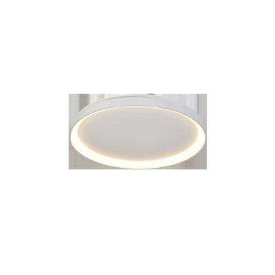 China 2022 Outdoor Modern Acrylic Led Decorative Ceiling Light For Home Ceiling Lamp for sale