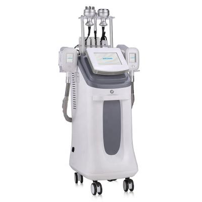 China Optimal Frozen Multifunctional Weight Loss Fat Cell Slimming Machine For Sale for sale