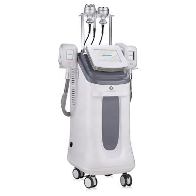 China Weight Loss Vertical Double Head Frozen Fat Solubilizing Professional Slimming Machine for sale