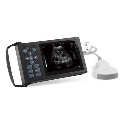 China Metal 5.6 In Mini Ultrasound LED Screen Scanner Pig Dog Cat Sheep Veterinary Test USG Machine for sale