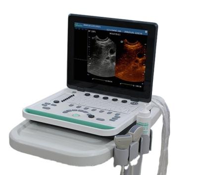 China Hot Sale 3D Plastic Human Use Notebook B/W Notebook Ultrasound Scanner Machine With Libattery for sale