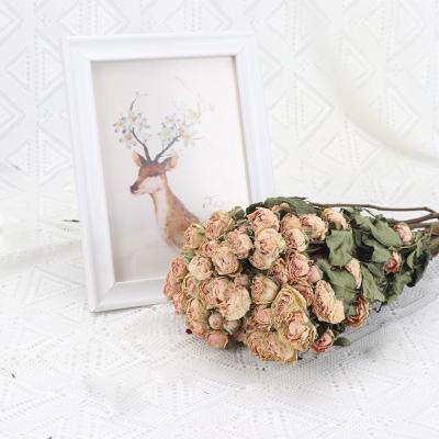 China Rose Straight Hair Multi Headed Rose Real Dried Flowers Flowers Natural Air Dried Bouquet Shooting Props for sale