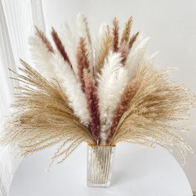 China Artificial Pampas Grass Wedding Home Wholesale Pampas Grass Hotel Decoration Stipe for sale