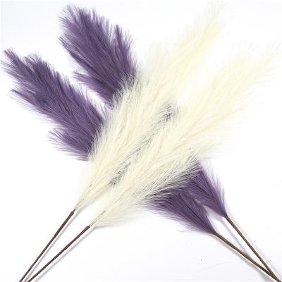 China Milk White Purple Reed Grass Puwei Natural Fork Paper Silk Iron Cloth Window Decoration Warm Wedding Pampas Simulation 18 for sale