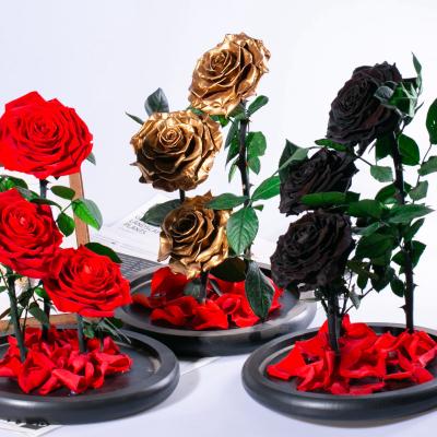 China Environmental Protection Green Vibrant Eternal Roses are Kept in a Glass Dome for a Year as a Rose Valentine's Gift for sale