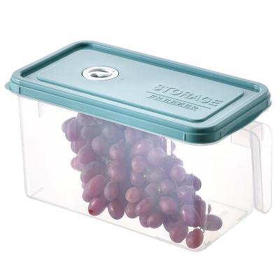 China Original Kitchen Plastic Storage Box Picnic Freshness Keeping Container Cool Container Refrigerator for sale