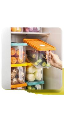 China Wholesale Freshness Keeping Pantry Organization Containers Other Bins Baskets Box Kitchen Organizer Fridge Storage and Organizer for sale