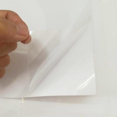 China Adhesive Film Moisture Proof Window Advertise Display Waterproof Inkjet Printing Transparent PET Rolls for sale