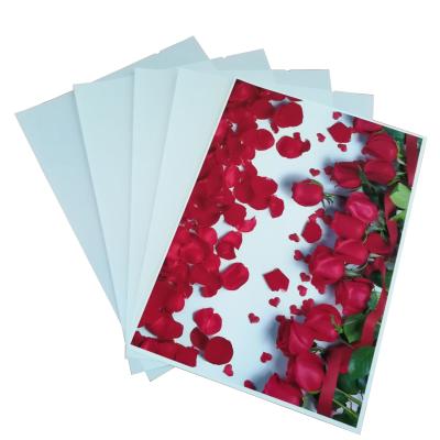 China Moisture-proof Double Sided PET Inkjet Glossy Synthetic Film RC NT Paper Photo 170um for sale