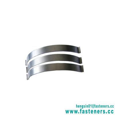 China Apartment ; Leaf ; Flat Plate Stainless Steel Flat Spiral Torsion Spring Low Price for sale