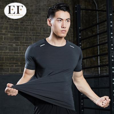 China Fashion Breathable Custom Men's Ever Short Sleeve Sports Tops Sports Compression Gym Wear Mens Gym Tights Seamless Quick Dry Gym Fitness Wear for sale