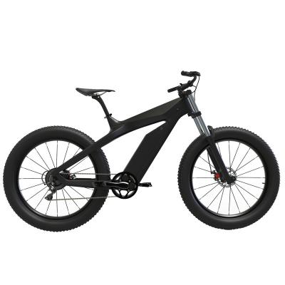 China 750W48V13A electric bicycle 26