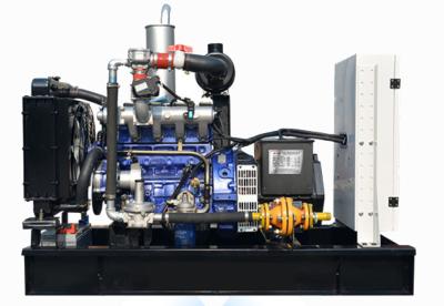 China Natural Gas Generator Set, Hho Brown Gas Power Generator, Methane Gas Generator Set for sale