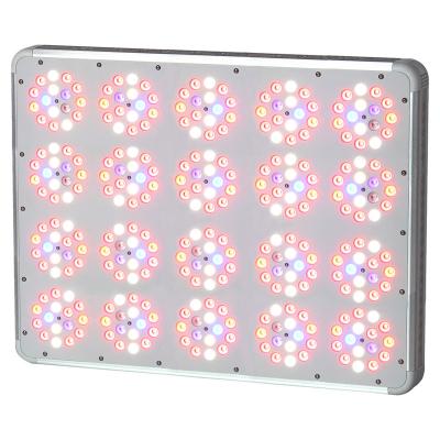 China Double-switch Appolo 020 plus European best selling 1000 watt led grow light for flowering for sale