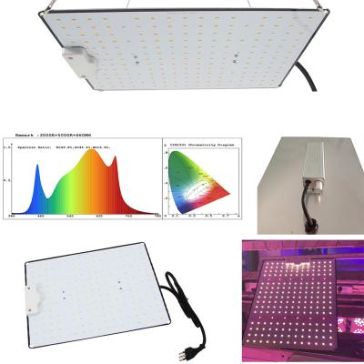 China Seed starting 3500K 5000K 660nm red full spectrum led to grow light for mircogreen vegetable for sale