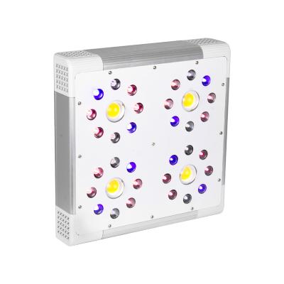 China 2020 Double-Buttons USA Crees COB 400w LED Grow Lights Hot Selling LED Grow Light Full Spectrum Light For Plant Fruit Veg Flower Seed Starting for sale