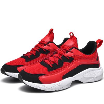 China Hard Wearing Lightweight Fitness Shoes Anti Slippery Shock Absorption for sale