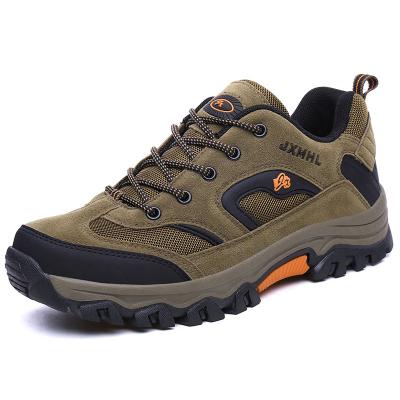 China Anti Slippery Women Hiking Sport Shoes All Seasons With SGS Certification for sale