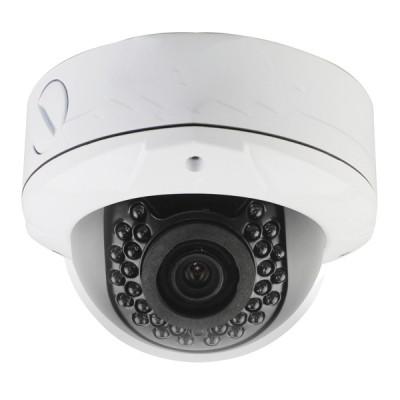 China H.264 1.3MP Wireless P2P IP Cam Day Night Camera IP dome camera POE for sale