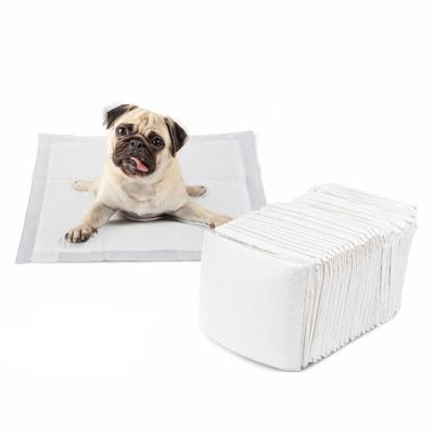 China Viable Quick Dry Disposable Small Dog Pet Training Pee Pads for sale