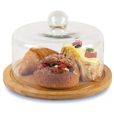 China Sustainable Wholesale Cheap Lead Free Clear Glass Handblown Cake Dome Cover With Handle For Food for sale