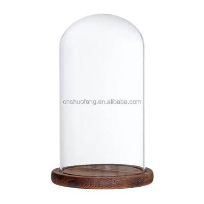 China Decorative Glass Dome All Over Customized Glass Cover With Wooden Base for sale