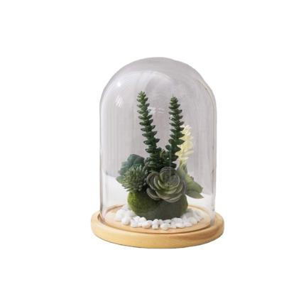 China Creative glass dome everywhere wholesale glass bell dust cover glass for sale