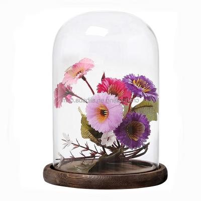 China All Over Dust Proof Glass Cover, Multi-fuctionnal Clear Glass Dome Cloche Food Cover With Wooden Base for sale