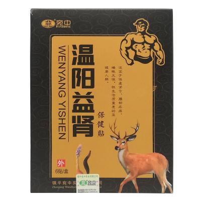 China Body kidney fix impotence, premature ejaculation, erectile dysfunction, frequent urination, back pain, cold hands and feet for sale