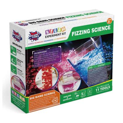 China Wholesale BIG BANG SCIENCE Fizzing Science Experiment Mini Kit Toys Christmas Or Birthday Gift For Kids for sale