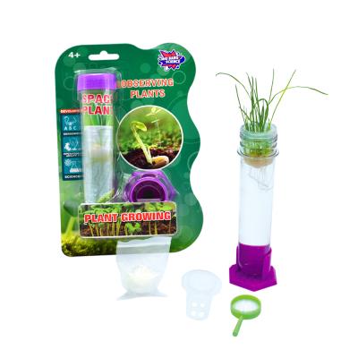 China Plastic vase kids toys garden decoration home decoration planting test tube vase for kids for sale