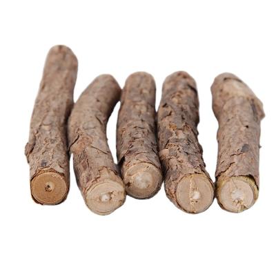 China Cats Attract Attention Rod Cat Toy Kitten Molar Branches Stick Actinidia Polygama for sale