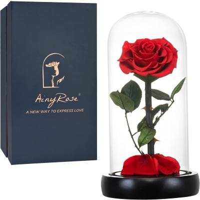 China Real Flower Eternal Rose With LED Light Preserved Red Roses Flower Eternal Blossom In Glass Dome For Girl Woman for sale