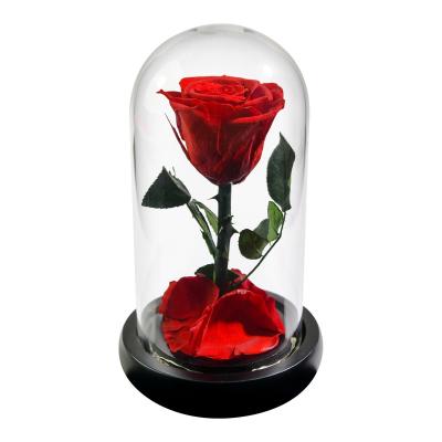 China Lasting Eternal Valentines Day Gift LED Eternal Preserved Forever Rose Flower In Glass Dome for sale