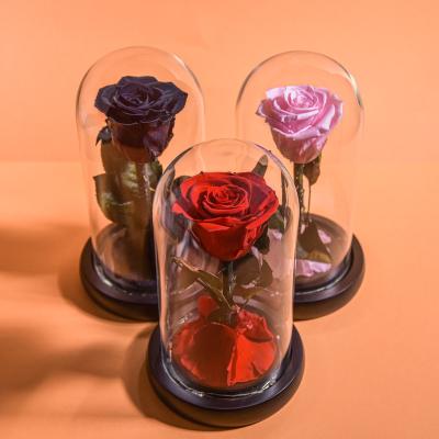 China Beauty Beast Beautiful LED Real Flower Gift Box Red Eternal Decorative Preserved Roses Lasting Forever In Glass Dome for sale