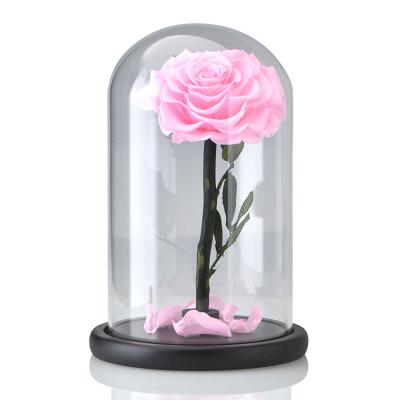 China Hot Selling Durable Preserved Roses Forever Flower Real Big Red Preserved Roses Flower In Glass Dome For Valentine Day for sale